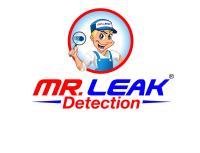 Mr. Leak Detection of Dacula image 1